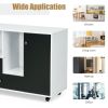 Lateral Mobile Filing Cabinet with 2 Drawers - black