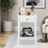 FCH Two-layer Bedside Cabinet Coffee Table with Drawer White RT - White