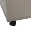 Office pulley movable file cabinet Wooden drawer cabinet Office storage cabinet Low cabinet - as Pic